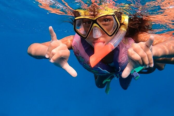 Private Turtle Spotting Snorkeling Excursion in Aruba - Equipment, comfort, and the entry