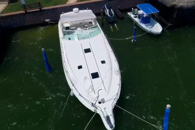 Private Yacht 46ft Sea Ray Snorkel up to 15 pax 23P2 - What the yacht is like for a group of 15