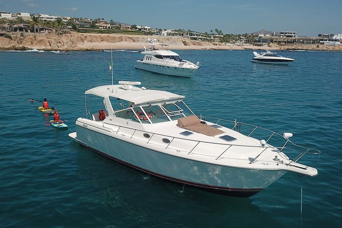Private Yacht Cruise 4 Hour- Snorkeling & Paddle Boarding - The Arch, sea lions, and Cabo’s famous rocks
