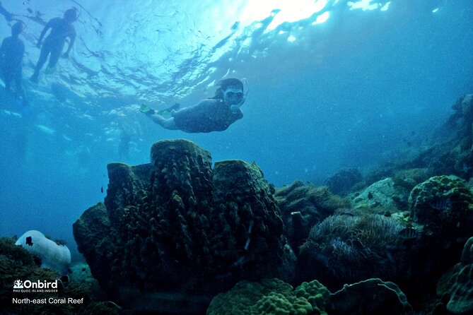 PRO-SNORKELING to Explore Hidden Coral Reefs (MAX 10 PAX) - The speedboat ride and island pause