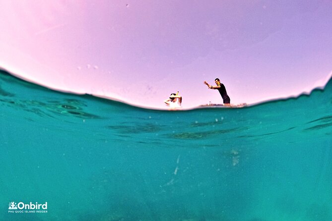 PRO-SNORKELING to Explore Hidden Coral Reefs (MAX 10 PAX) - What is included for the $54.98 price