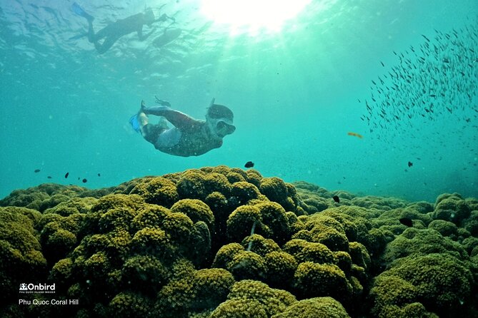 PRO-SNORKELING to Explore Hidden Coral Reefs (MAX 10 PAX) - Two reef stops and plenty of water time
