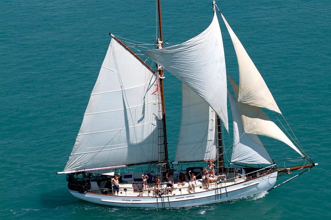 Providence Whitehaven Beach Sailing and Snorkeling Cruise - Key points at a glance