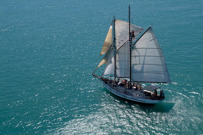 Providence Whitehaven Beach Sailing and Snorkeling Cruise - Why this sailing day feels different