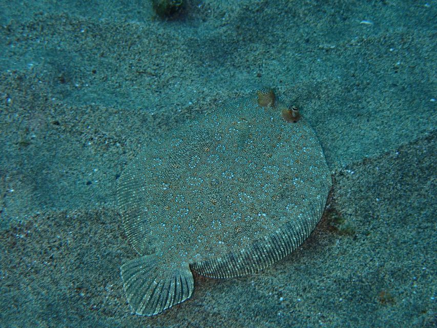 Puerto del Carmen: Snorkeling Trip with Dive Instructor - Practical details that can make or break the morning