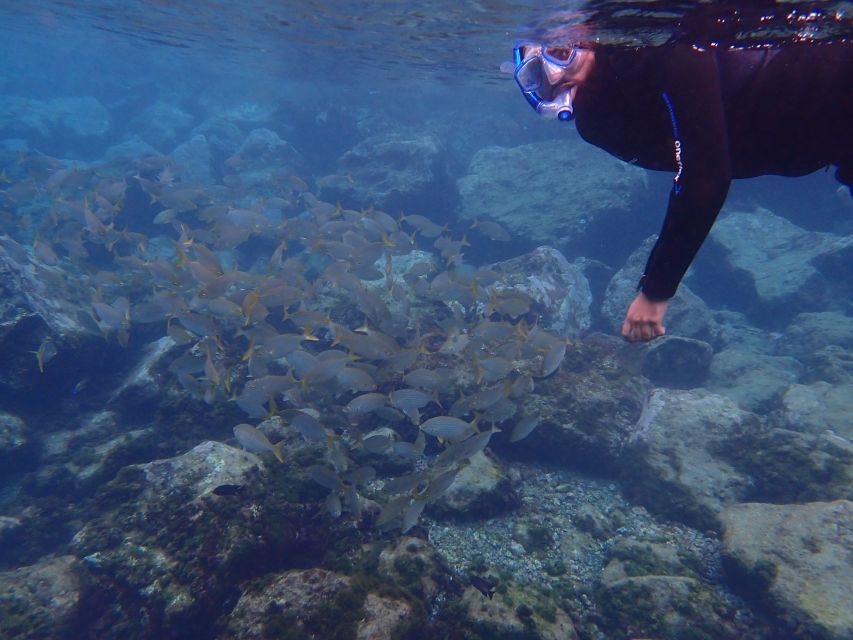Puerto del Carmen: Snorkeling Trip with Dive Instructor - Entering the water from the shore
