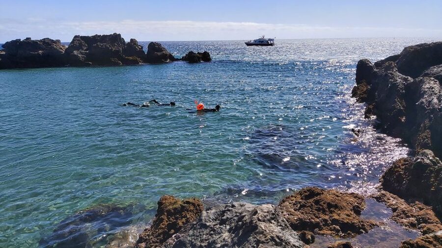Puerto del Carmen: Snorkeling Trip with Dive Instructor - What the $65 price includes