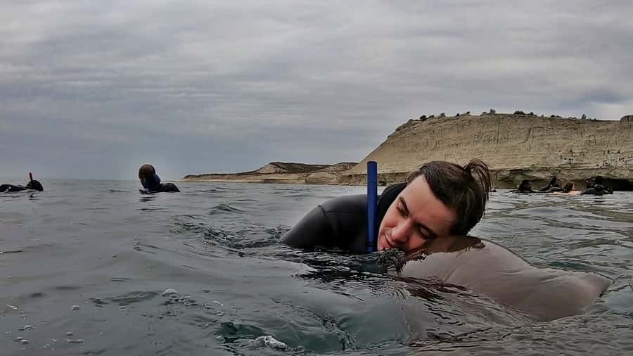 Puerto Madryn: Snorkeling Trip with Sea Lions - Who should book this Puerto Madryn sea lion tour?