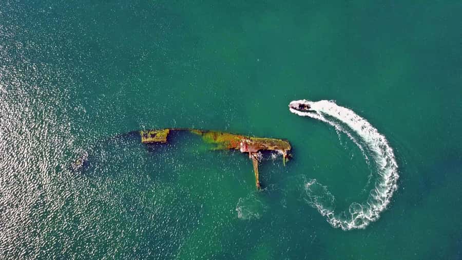 Puerto Madryn: Snorkeling Trip with Sea Lions - Why the sea lions are the real attraction
