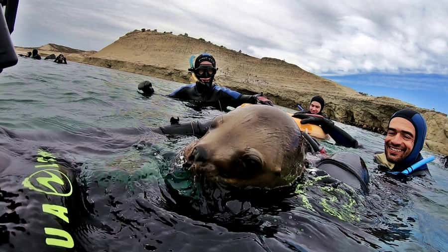 Puerto Madryn: Snorkeling Trip with Sea Lions - Punta Loma Nature Reserve by boat