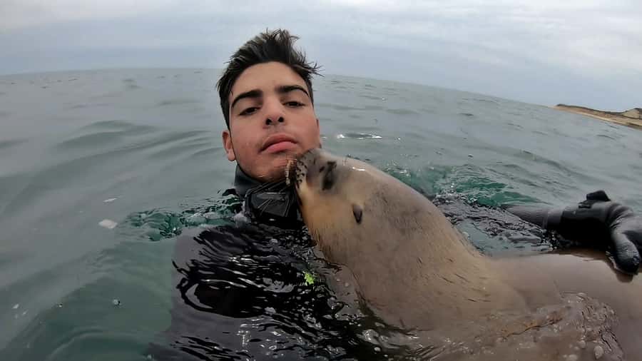 Puerto Madryn: Snorkeling Trip with Sea Lions - Guides, equipment, and the small-group advantage