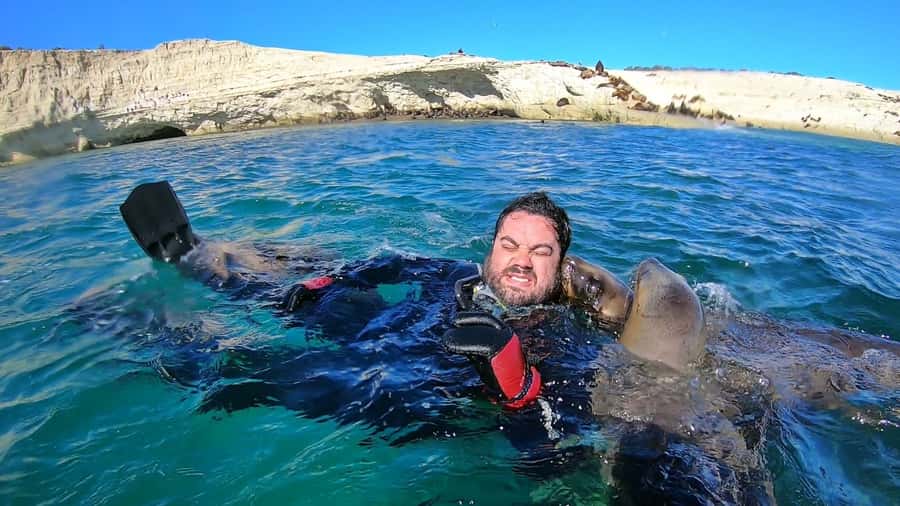 Puerto Madryn: Snorkeling Trip with Sea Lions - Price and what the $150 buys you