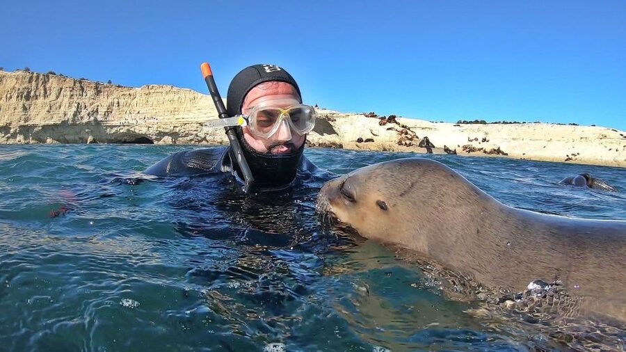 Puerto Madryn: Snorkeling Trip with Sea Lions - Weather, timing, and practical limits