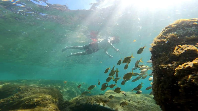 Puerto Mogán: Guided Adventure Kayak Tour in Caves & Snorkel - Paddling along volcanic cliffs toward the Mogán caves