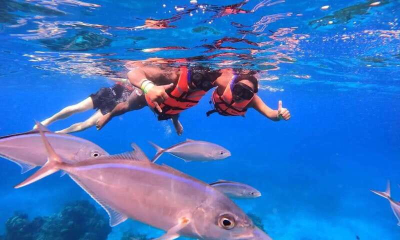 Puerto Morelos: Guided Snorkeling Tour with Gear & Fees - Why Puerto Morelos is a smart place to snorkel