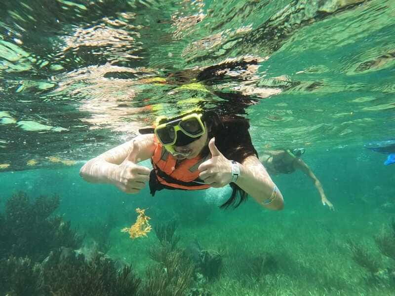 Puerto Morelos: Guided Snorkeling Tour with Gear & Fees - What you may see underwater
