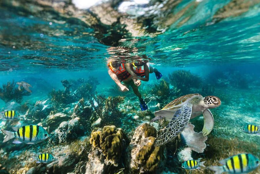 Puerto Morelos: National Reef Park Snorkeling & Beach Lunch - What this Puerto Morelos outing really offers