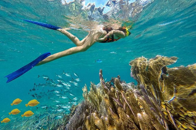 Puerto Morelos Reef Snorkeling Tour with Lunch & Hotel Pickup - Two reef stops off Puerto Morelos