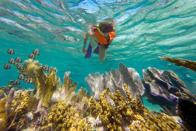 Puerto Morelos Reef Snorkeling Tour with Lunch & Hotel Pickup - What the $47 price really covers