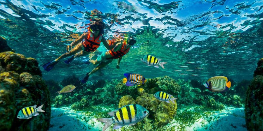 Puerto Morelos: Snorkel, Town Walk, Tequila & Beach Lunch - Key points to know before booking