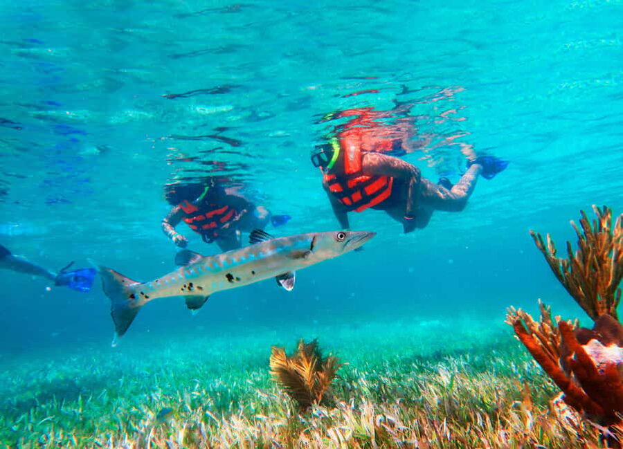 Puerto Morelos: Snorkel, Town Walk, Tequila & Beach Lunch - Why Puerto Morelos works for a reef-and-town outing