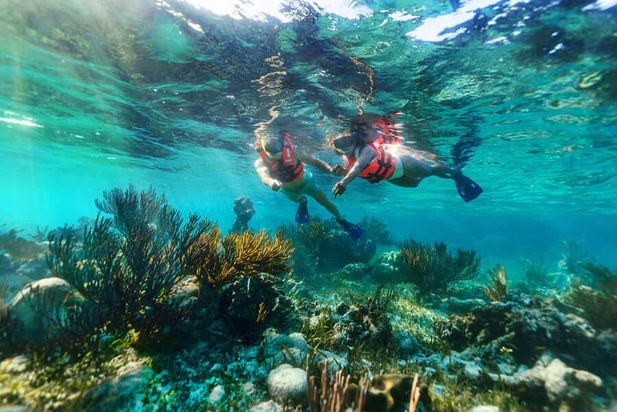 Puerto Morelos: Snorkel, Town Walk, Tequila & Beach Lunch - Snorkeling the Great Mayan Reef