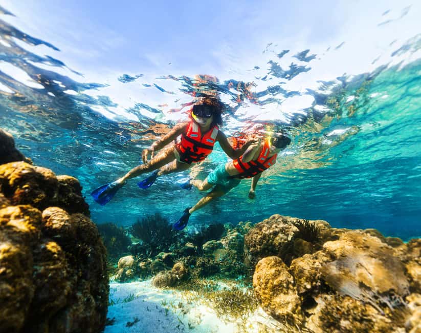 Puerto Morelos: Snorkel, Town Walk, Tequila & Beach Lunch - Who should book this four-hour tour?