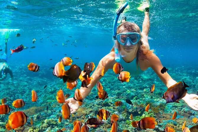 Puerto Morelos Snorkel, Town Walk, Tequila Tasting & Beach Lunch - Why Puerto Morelos makes a useful reef base