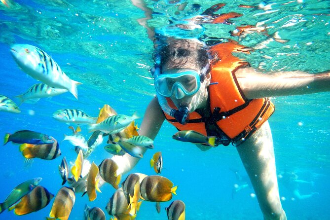 Puerto Morelos Snorkel, Town Walk, Tequila Tasting & Beach Lunch - A short look at Puerto Morelos