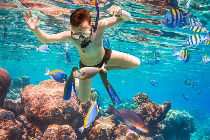 Puerto Morelos Snorkel, Town Walk, Tequila Tasting & Beach Lunch - Beach lunch and what you still pay for