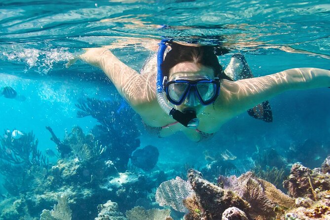 Puerto Morelos Snorkel, Town Walk, Tequila Tasting & Beach Lunch - Who should book this Puerto Morelos outing?