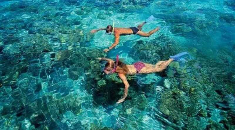 Puerto Morelos: Snorkeling at The National Reef Park - Two reef stops instead of one quick look