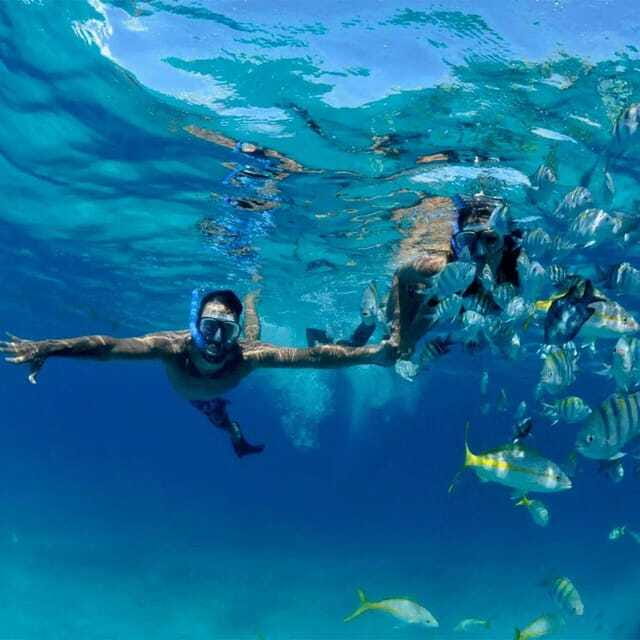 Puerto Morelos: Snorkeling at The National Reef Park - Who will enjoy this outing most