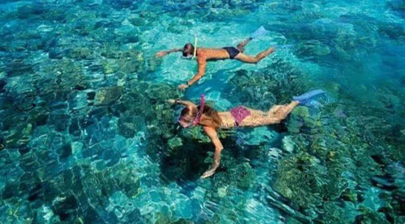 Puerto Morelos: Snorkeling at The National Reef Park - Meeting at Crazy Fish Tacos