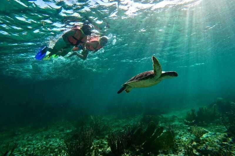 Puerto Morelos: Snorkeling Guided Activity - Equipment, comfort, and the sunscreen rule