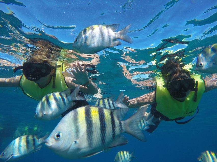 Puerto Plata: Catamaran Snorkeling Trip w/ Buffet & Open Bar - Practical advice before you board