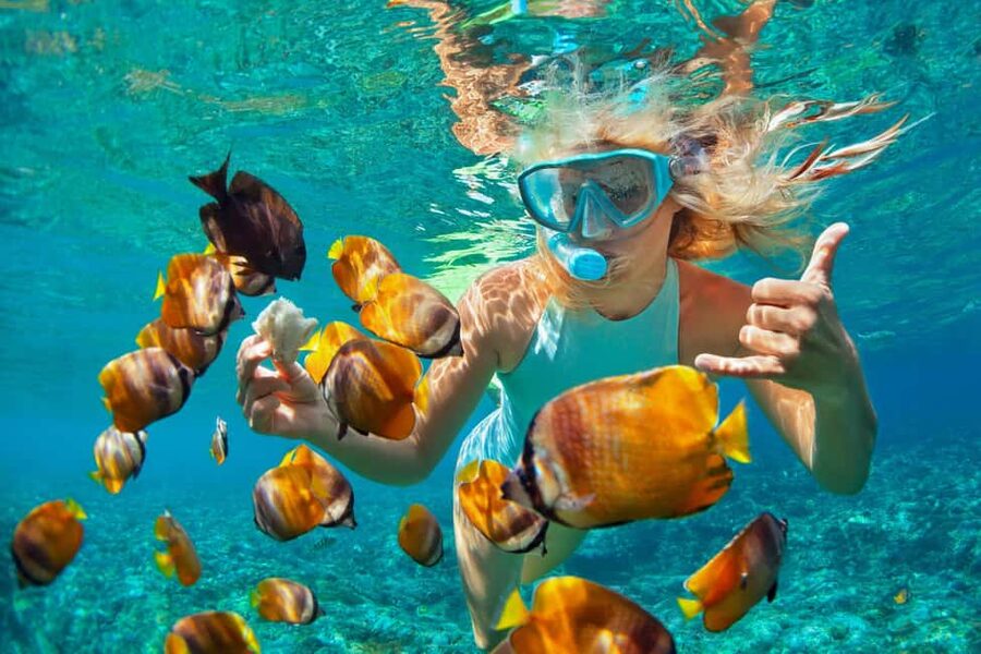 Puerto Plata: Catamaran Snorkeling Trip w/ Buffet & Open Bar - The first reef stop before lunch