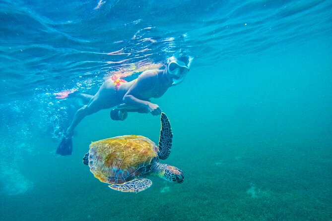 Puerto Rico Jet Snorkel with Turtles and Videos in San Juan - The safety briefing is more important than it sounds