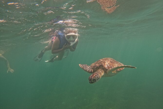 Puerto Rico Jet Snorkel with Turtles and Videos in San Juan - Looking for turtles near Escambron