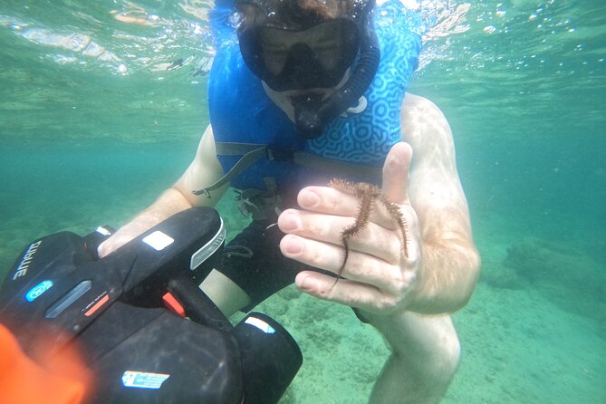 Puerto Rico Jet Snorkel with Turtles and Videos in San Juan - Water conditions can change the whole experience