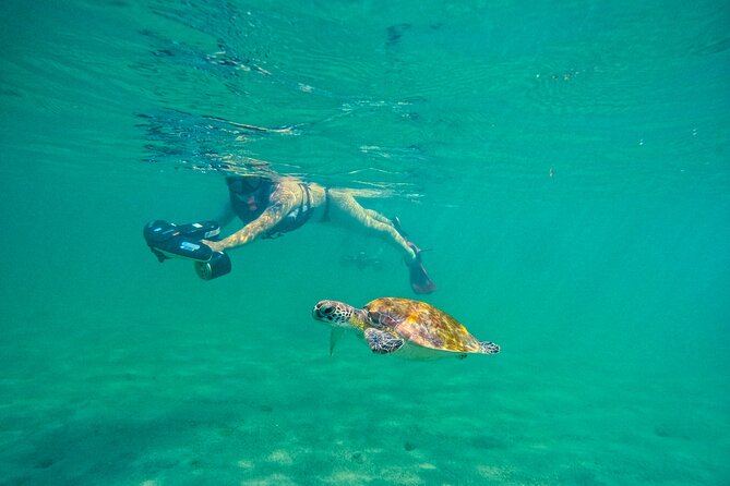 Puerto Rico Jet Snorkel with Turtles and Videos in San Juan - A useful option for beginners, with one clear limit