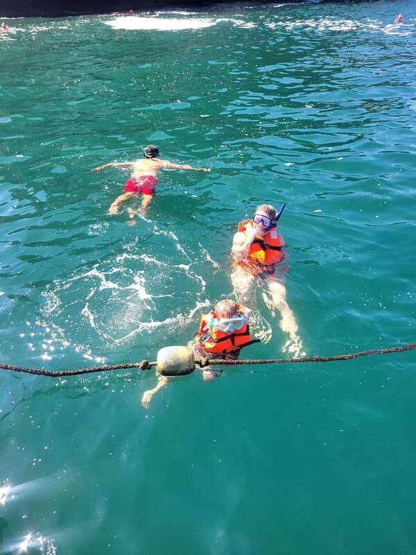 Puerto Vallarta: 3-Hour Whale Watching and Snorkeling - Whale sightings can be excellent, but the odds change