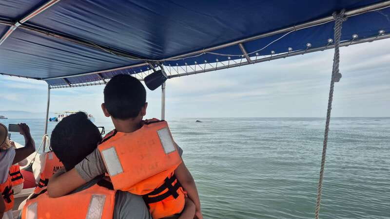 Puerto Vallarta: 3-Hour Whale Watching and Snorkeling - How the guide affects the whole outing