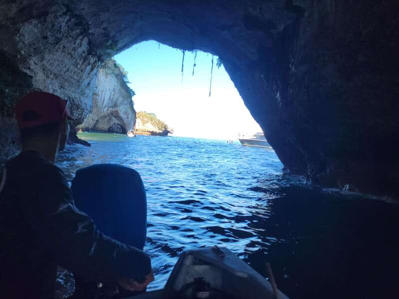 Puerto Vallarta: 3-Hour Whale Watching and Snorkeling - Who should book this Puerto Vallarta whale tour?