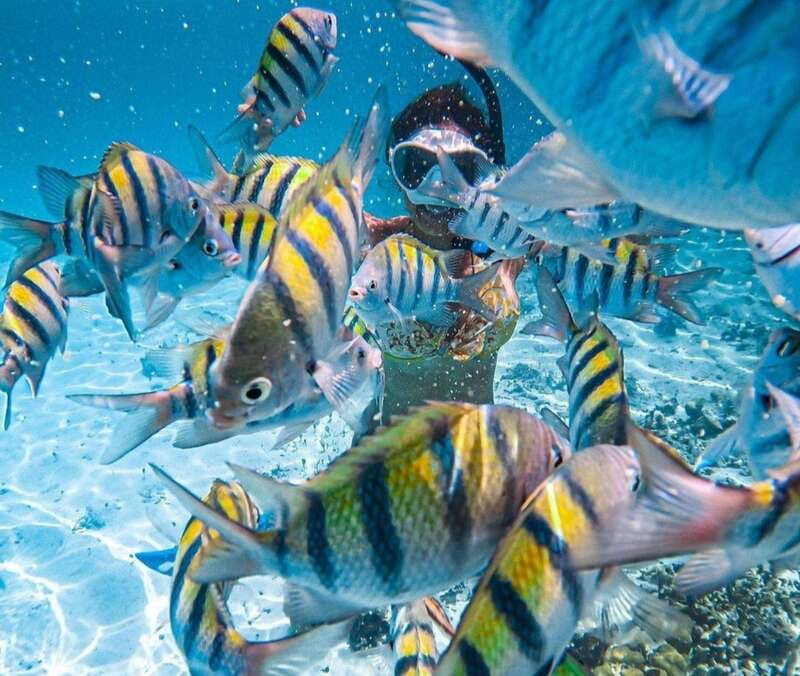 Puerto Vallarta: Los Arcos Islands Boat Tour and Snorkeling - Los Arcos is the reason to go
