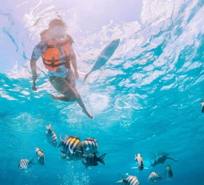 Puerto Vallarta: Los Arcos Islands Boat Tour and Snorkeling - Who will enjoy this tour most