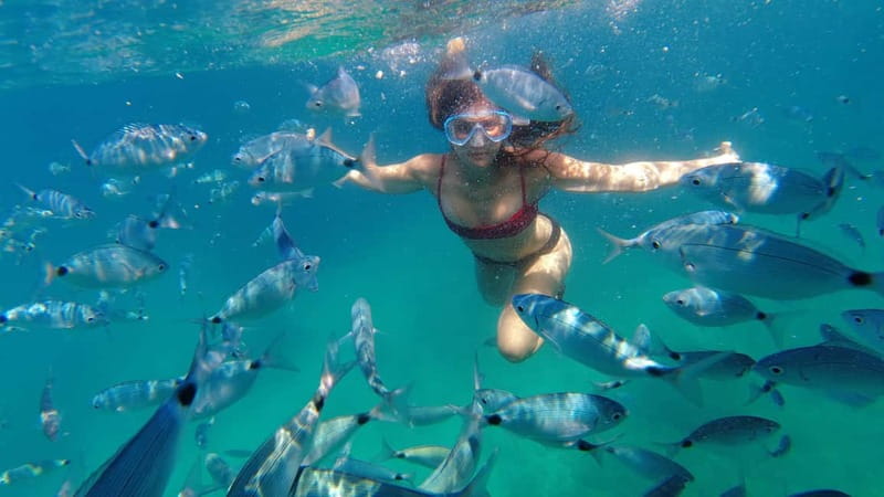 Pula: Cave Kayak, Snorkeling, Cliff Jumping All-in-one Tour - Cliff jumping up to 15 meters, or taking it easy