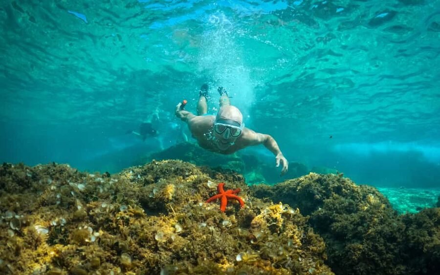 Pula: Kayaking,Snorkeling, Cliff jumping Tour with Wetsuit - Zelenika Beach and the first paddle