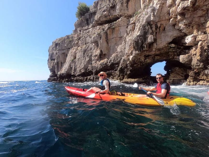 Pula: Sea Adventure – Boat, Kayak, Snorkeling & Cliff Jumps - Wildlife along the Muzil coast