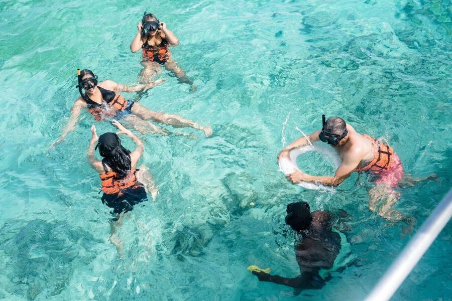 Punta Cana: Catamaran Tour with Reef Snorkeling and Open Bar - Reef snorkeling with tropical fish